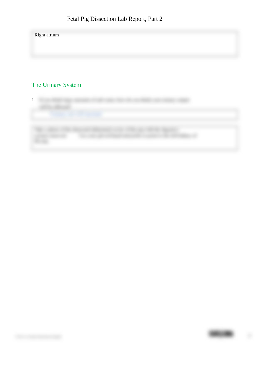 Fetal Pig Dissec_Circ-Urin Lab Reportdocx_d93if3lysoh_page3