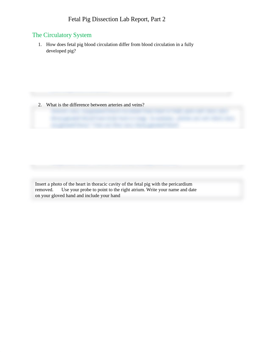 Fetal Pig Dissec_Circ-Urin Lab Reportdocx_d93if3lysoh_page1