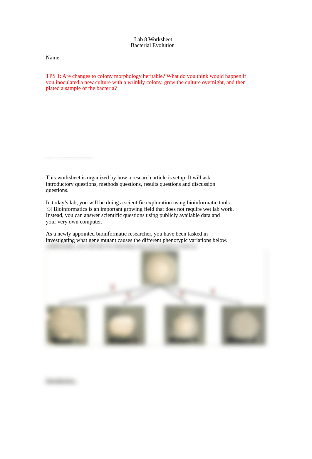 Worksheet_Bacterial_Evolution.pdf_d93k6nmp9t3_page1