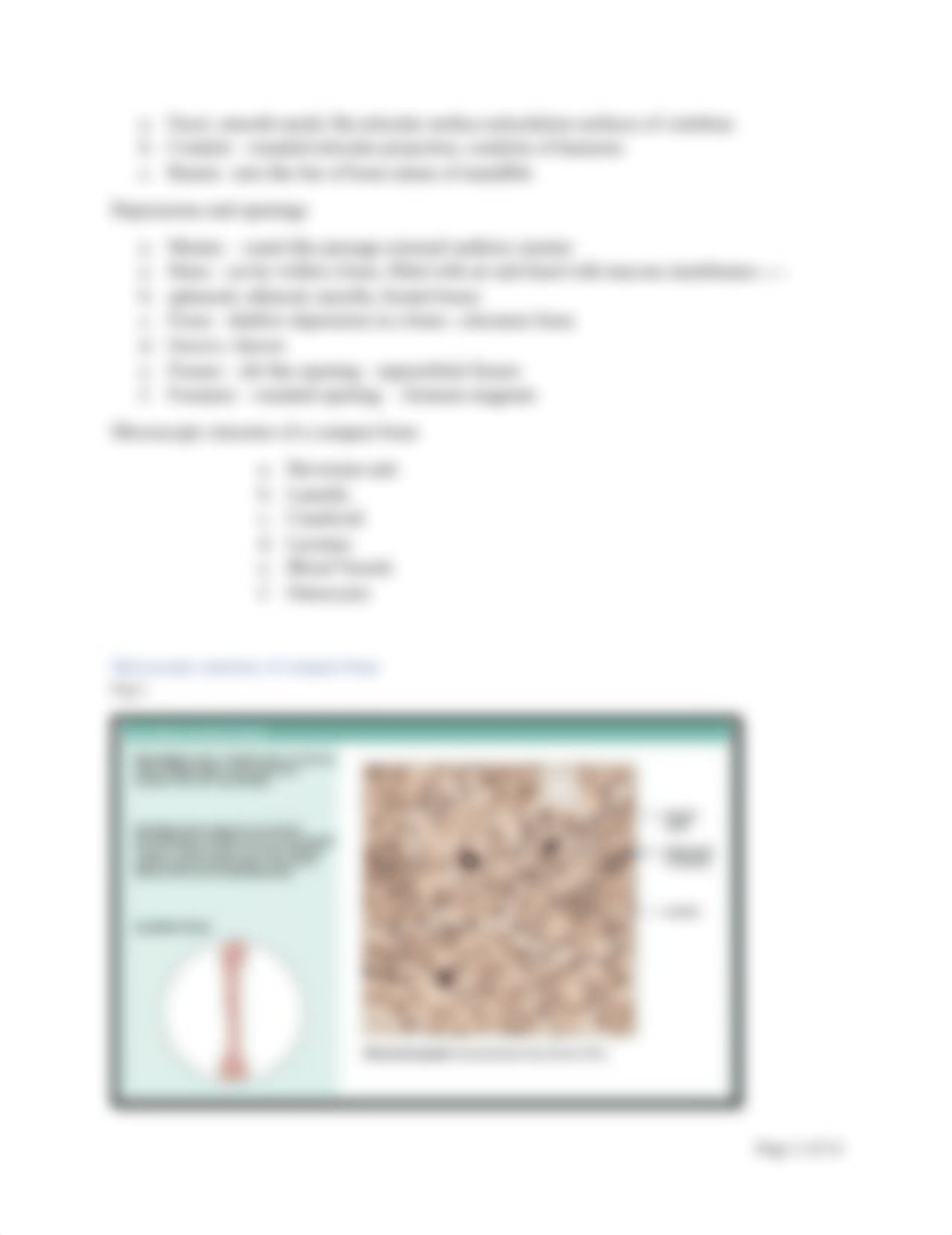 Lab handout # 4 Skeletal system  Axial skeleton (1).pdf_d93k9agpnfl_page2