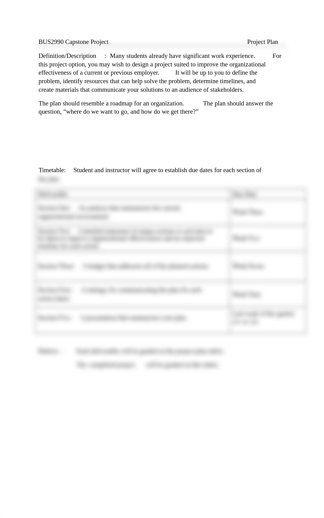 BUS2990_Capstone_Project_Project_Plan (1)_d93mnlf2csa_page1