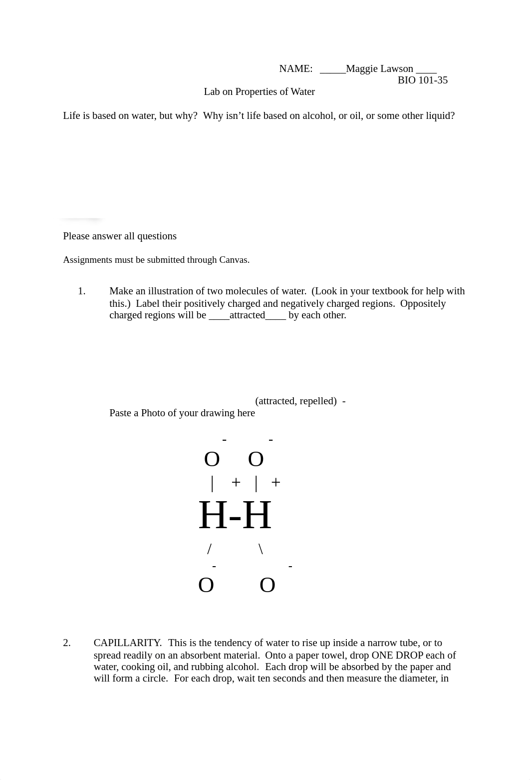 Properties of Water Lab .doc_d93n0w1caxx_page1