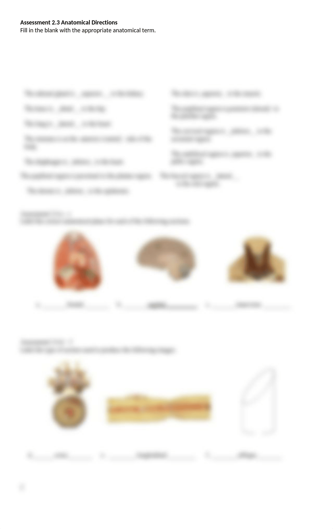 body organization lab 2 results sheets spr 2021(2)(1).docx_d93n9j8csyy_page2