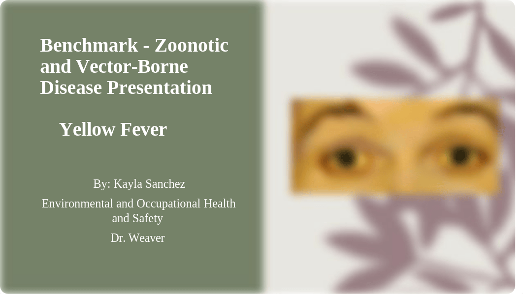 Benchmark - Zoonotic and Vector-Borne Disease Presentation .pptx_d93q7t9nyjh_page1