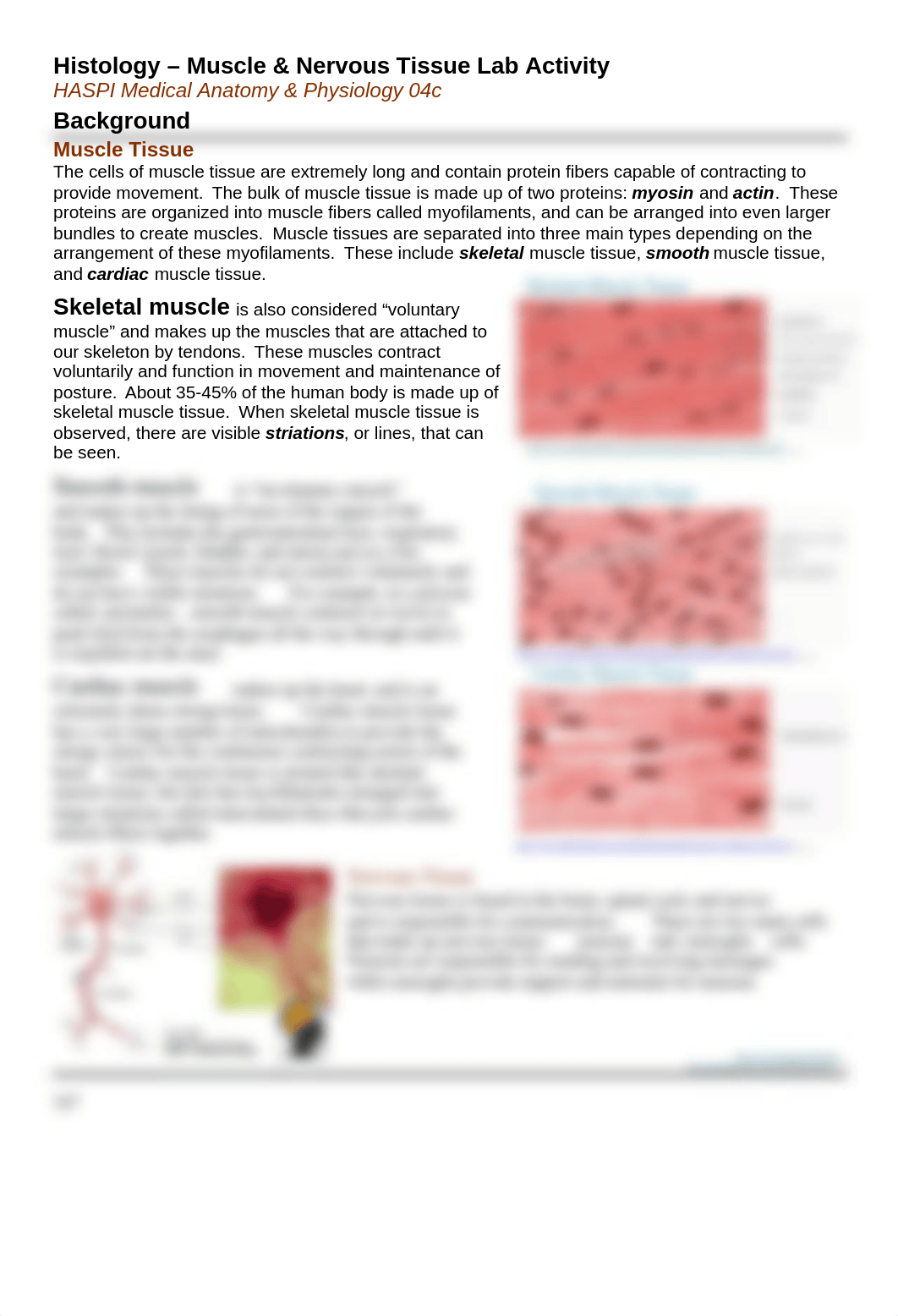 muscle and nervous tissues.docx_d93wddywnus_page1