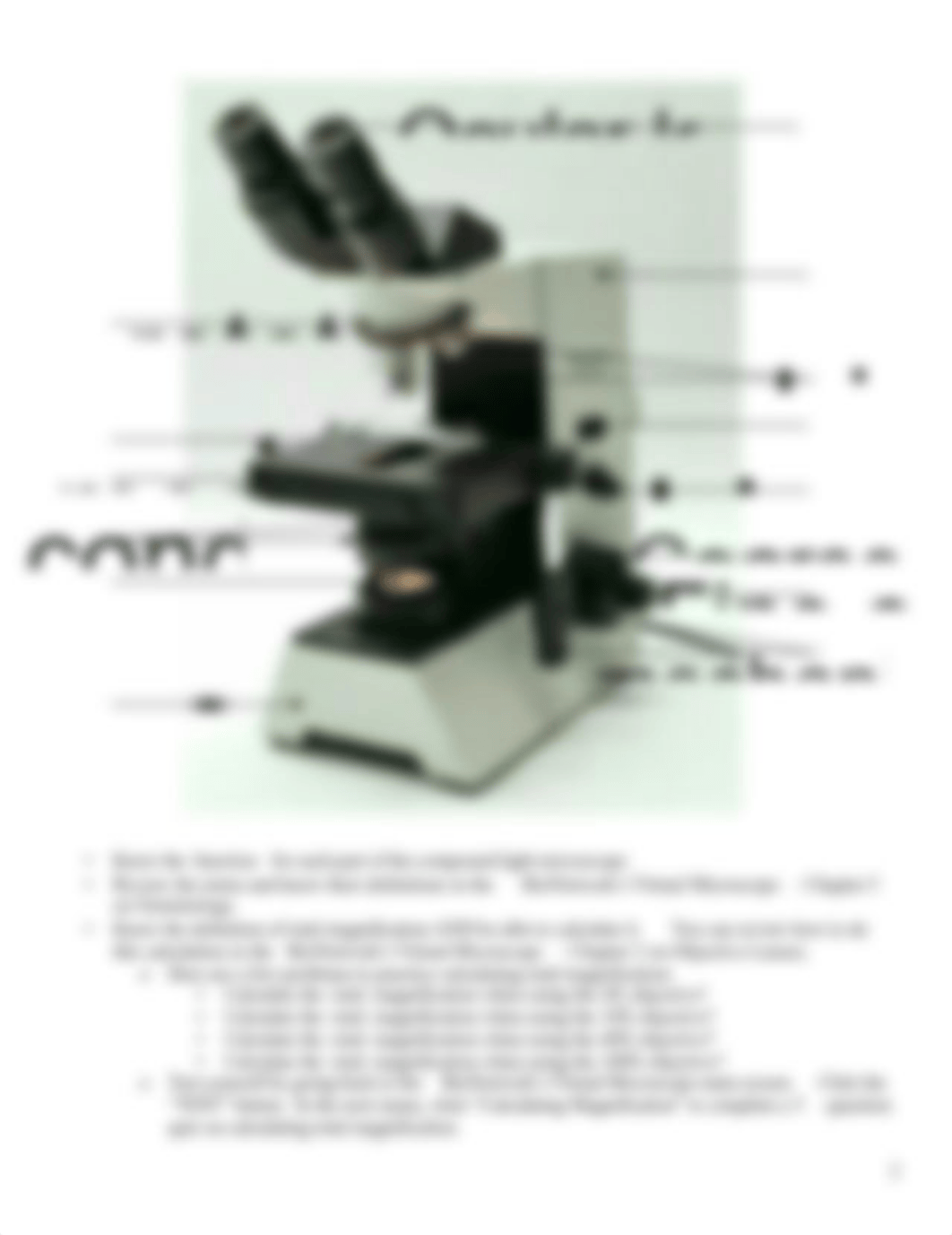 BIO150 Virtual Microscopy Lab (1).pdf_d93xjqrvup7_page2