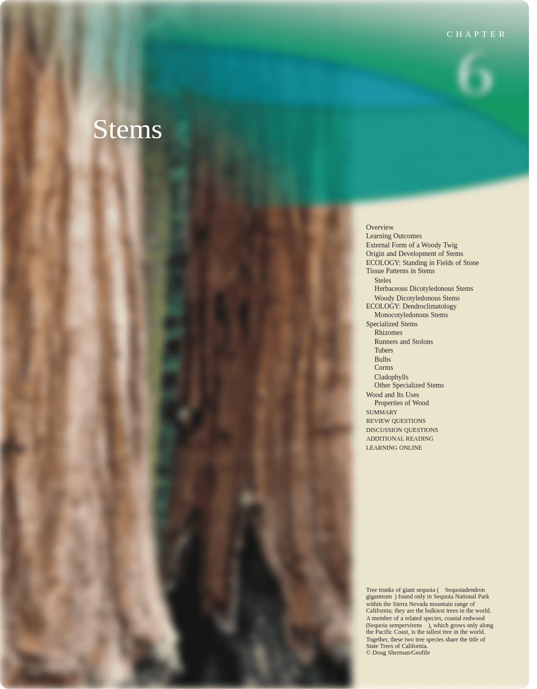 CH. SIX - Stems.pdf_d93y3sisb5t_page1