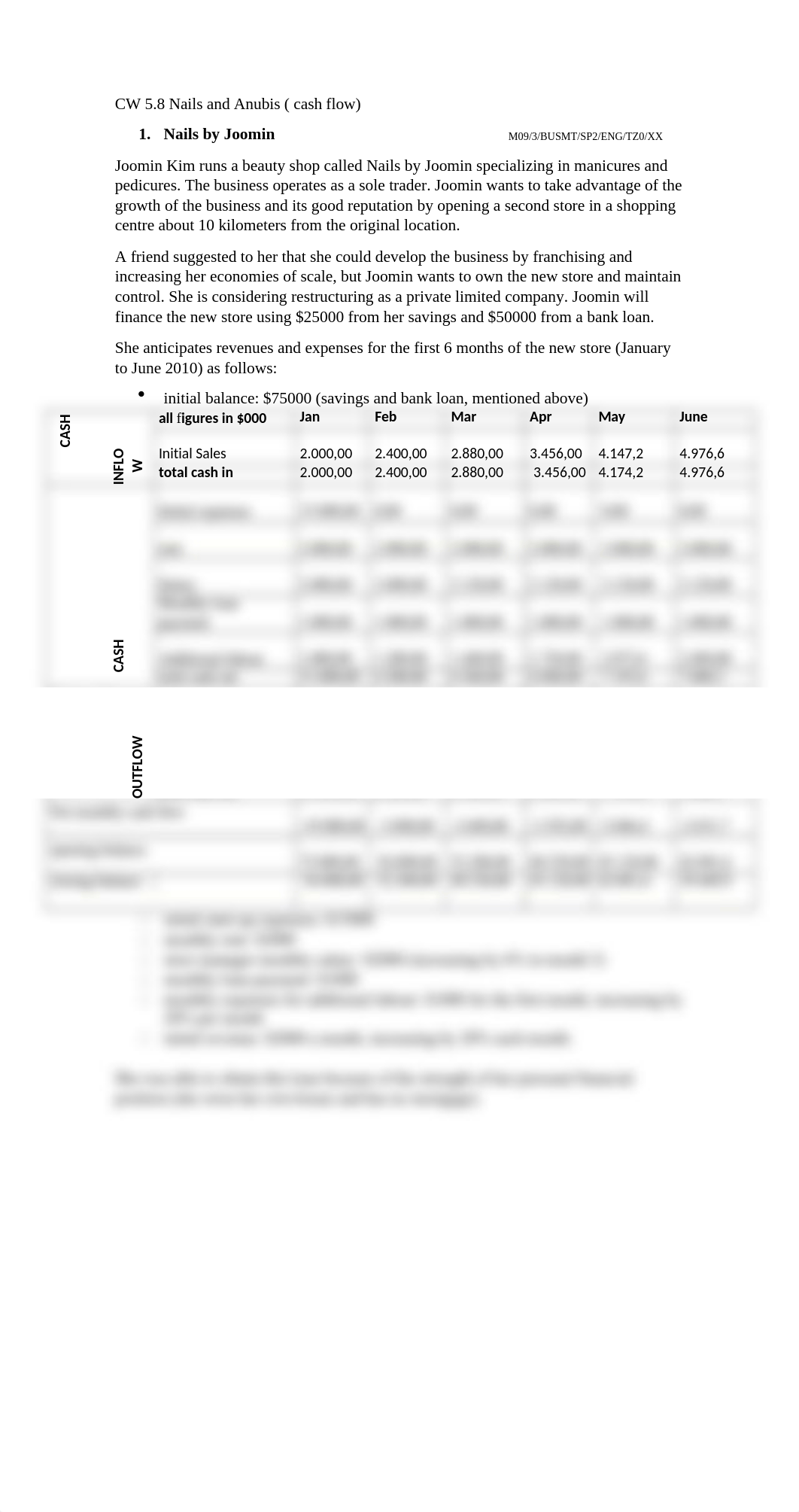 SA 3.9 Nails and Anubis ( cash flow) (1).docx_d941cjjoedg_page1