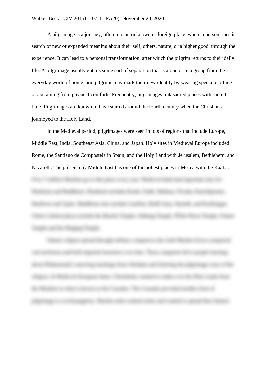 Final_Essay_-_CIV_201_d942spd8zkd_page1