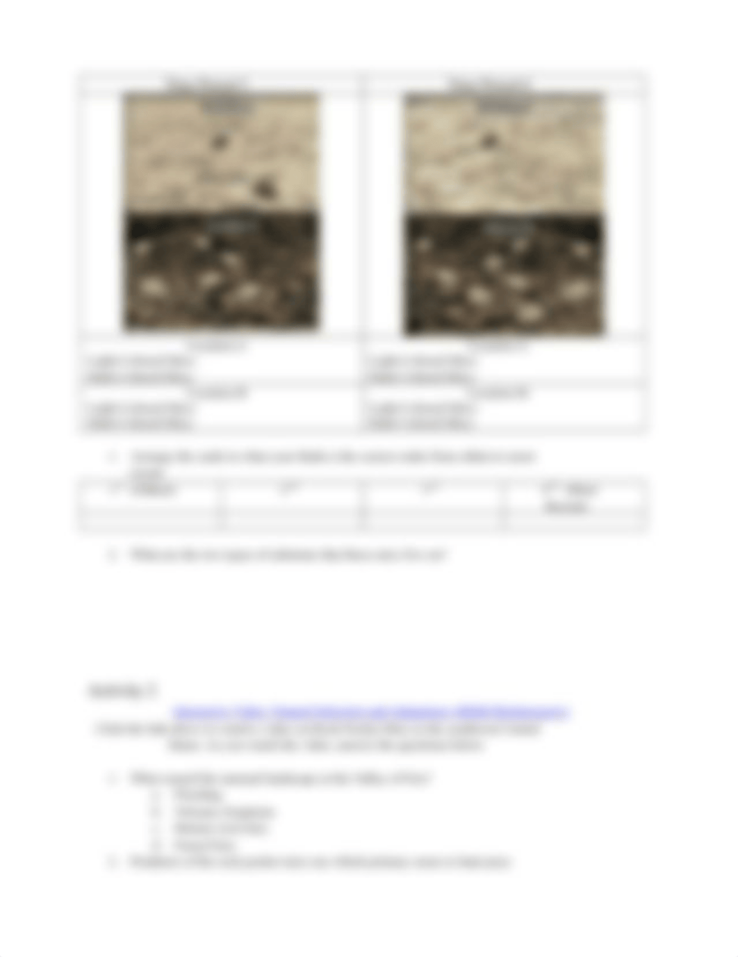 Rock Pocket Mice Activity (1).docx_d9489u83fw1_page2