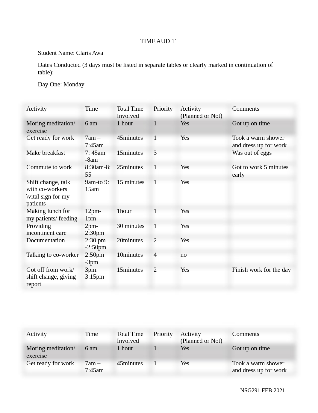 NSG 291 - Time audit.docx_d94dp3x4fx2_page1