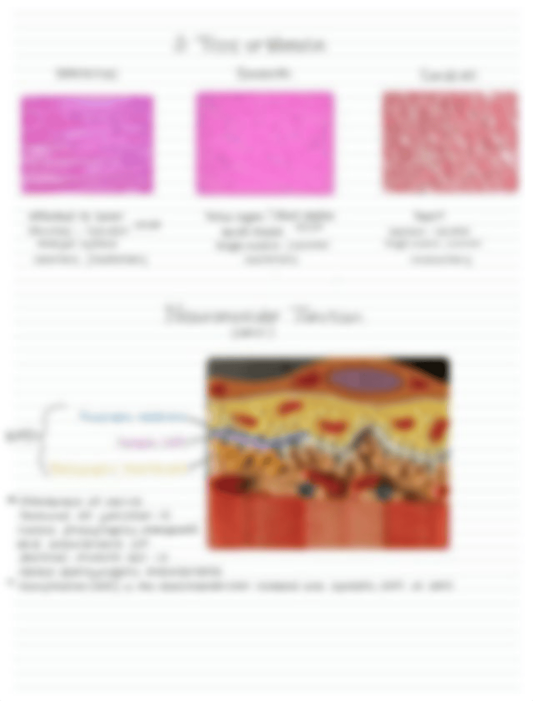 Lab Practical Review.pdf_d94lu5g43w4_page1