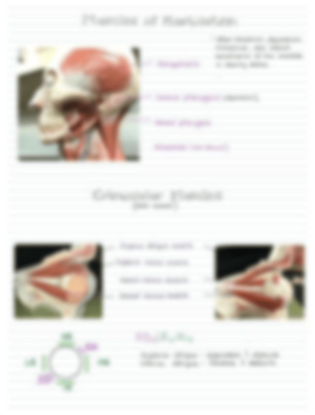 Lab Practical Review.pdf_d94lu5g43w4_page3