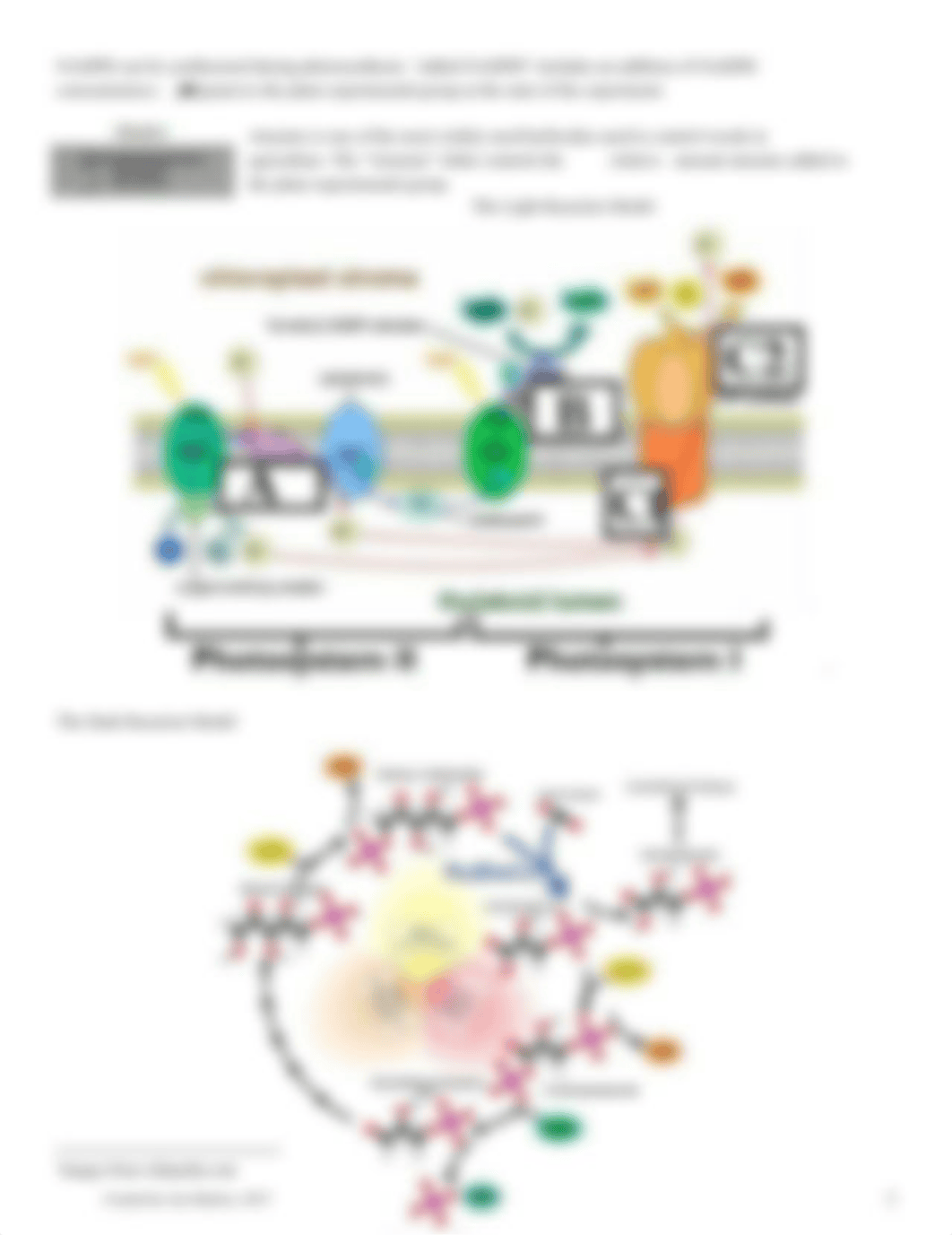 Copy of Copy of Photosynthesis Model and Simulation.pdf_d94mt7zvbqr_page2