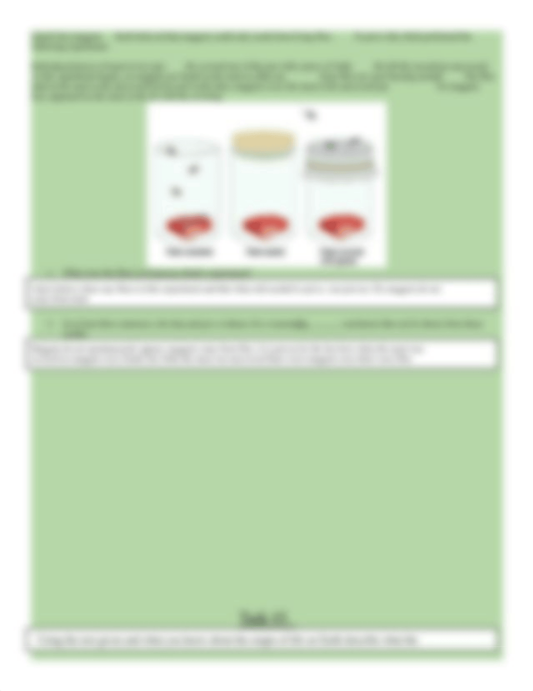 Copy of Meruvia-Origins of Life Activity 2_d94rfdm4nf8_page2