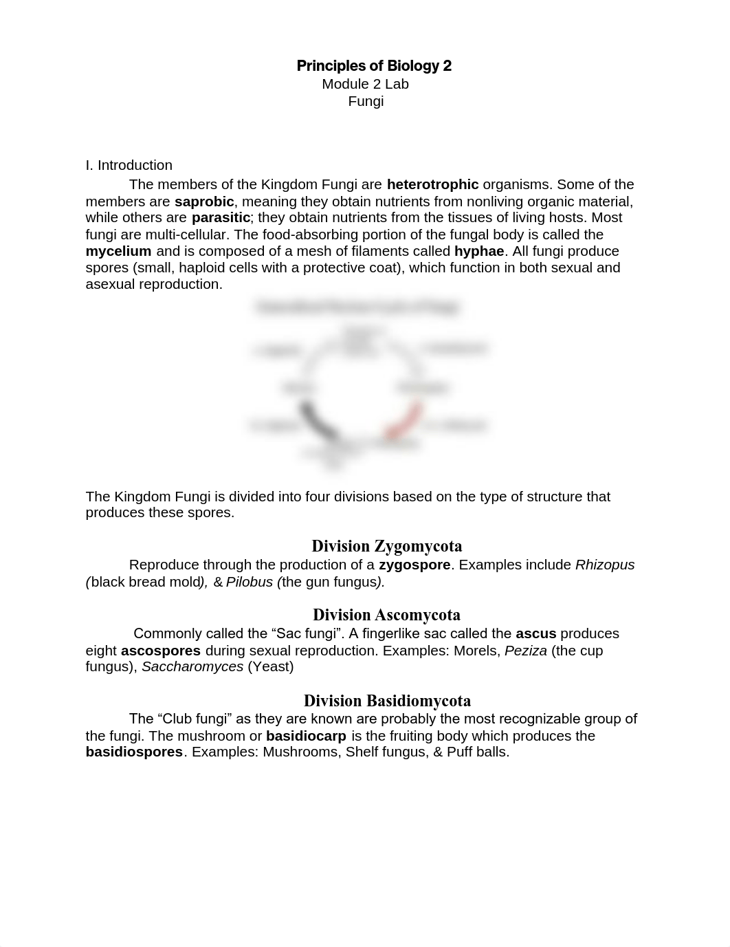 Module 2 Lab Fungi.pdf_d94rsdhvgr4_page1