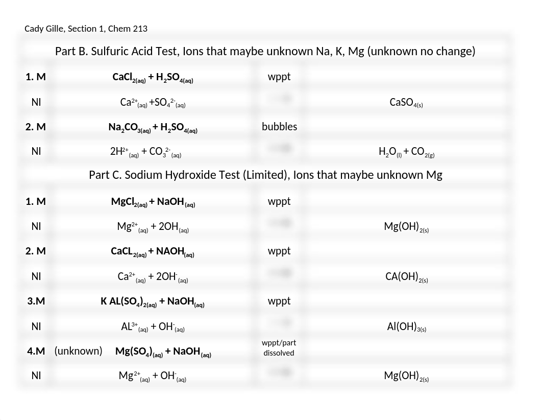 Qualitative Net Ionic Final Work.docx_d94ruv2el4k_page1