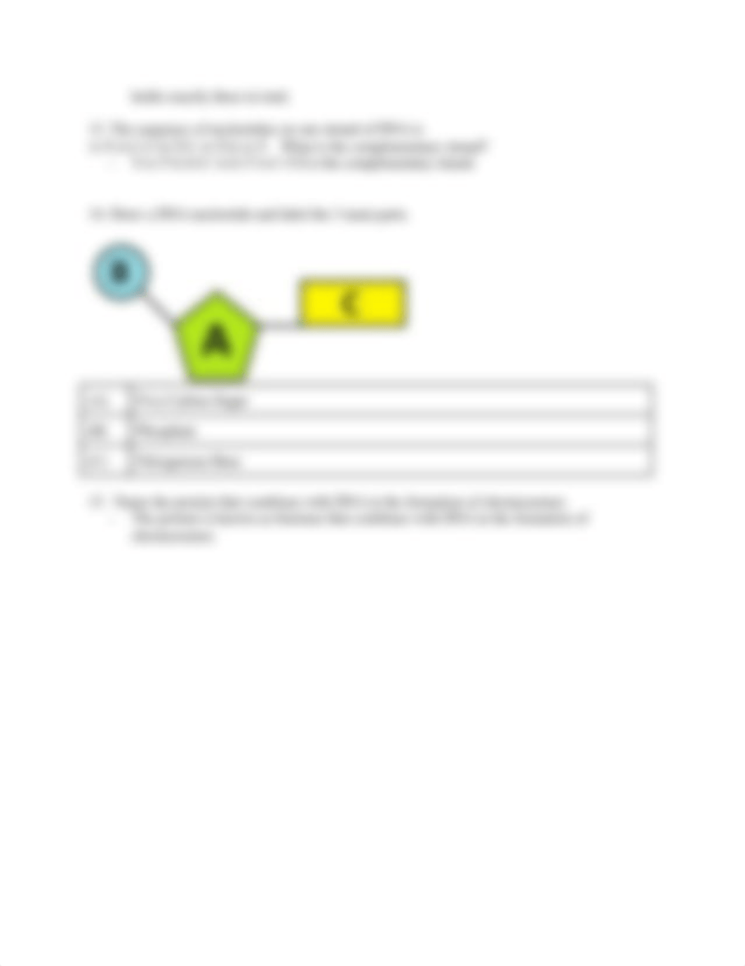 Copy_of_DNA_REVIEW_WORKSHEET_d94wzlcwtk8_page2