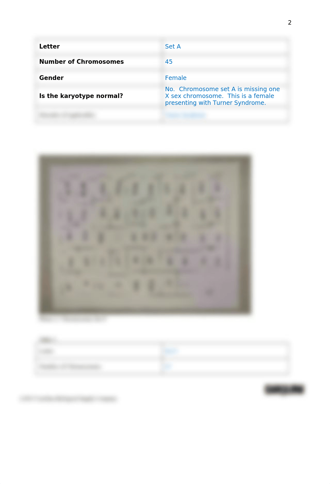 Human Chromosome Analysis Data Sheet and Questions - Alexandria Martin.docx_d95eg0pc5x5_page2