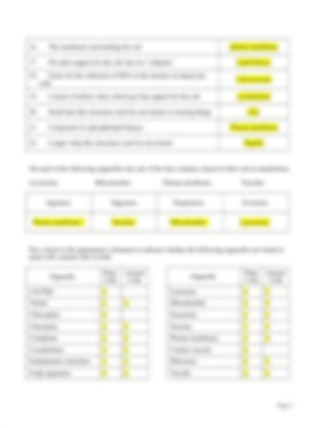 Cell Organelles Worksheet-1.docx_d95jx1fyseq_page2