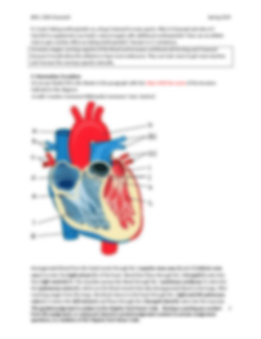 L14_cw_1106S19 (1).docx_d95l25in696_page2