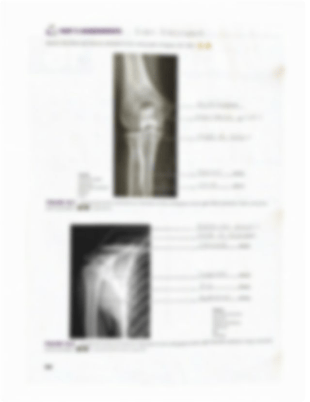 Lab Reports 15, 16, 17, and 18.pdf_d95w840p4lg_page5