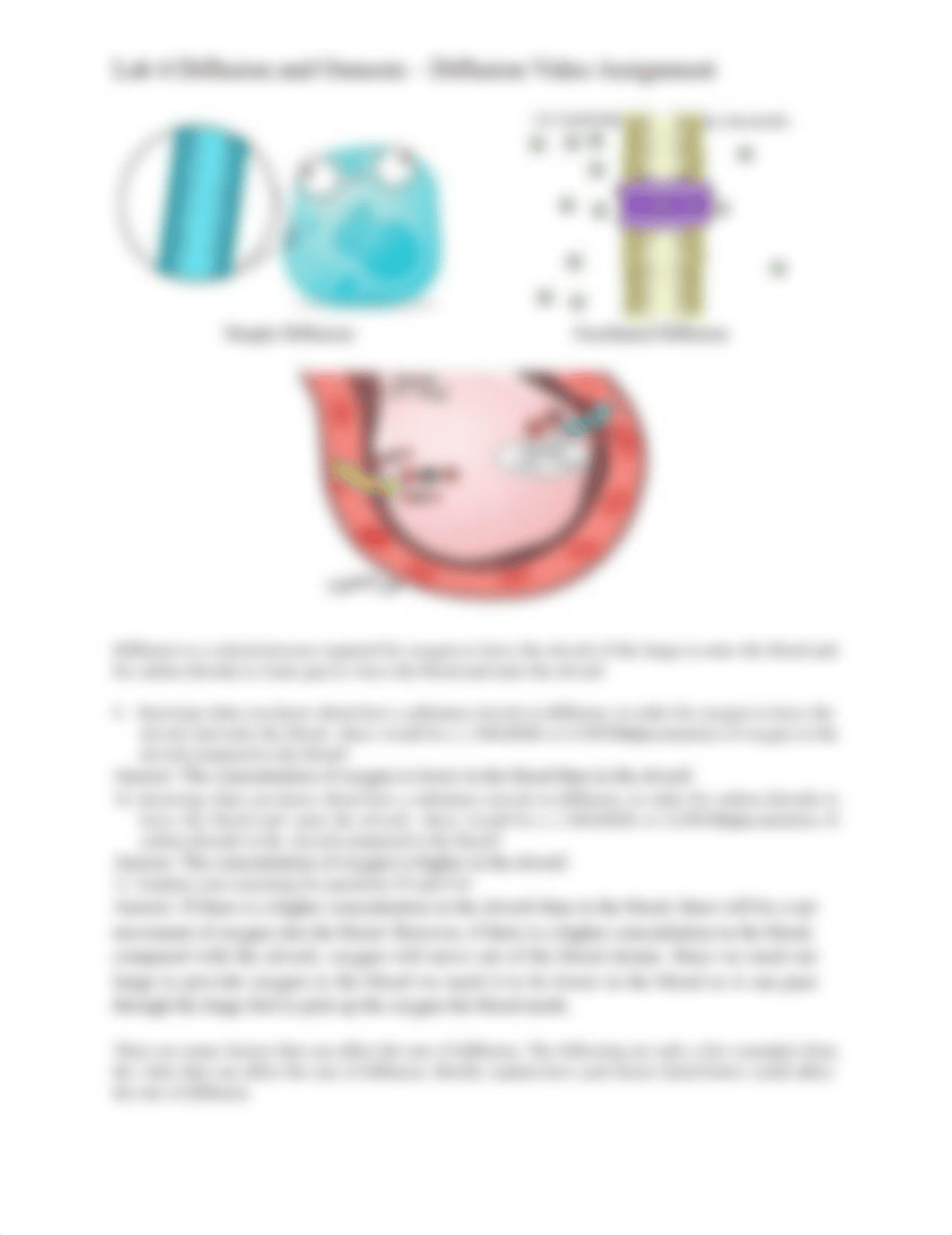 Lab 4 Diffusion and Osmosis - Diffusion Video Assignment 1.docx_d95y8253r40_page2