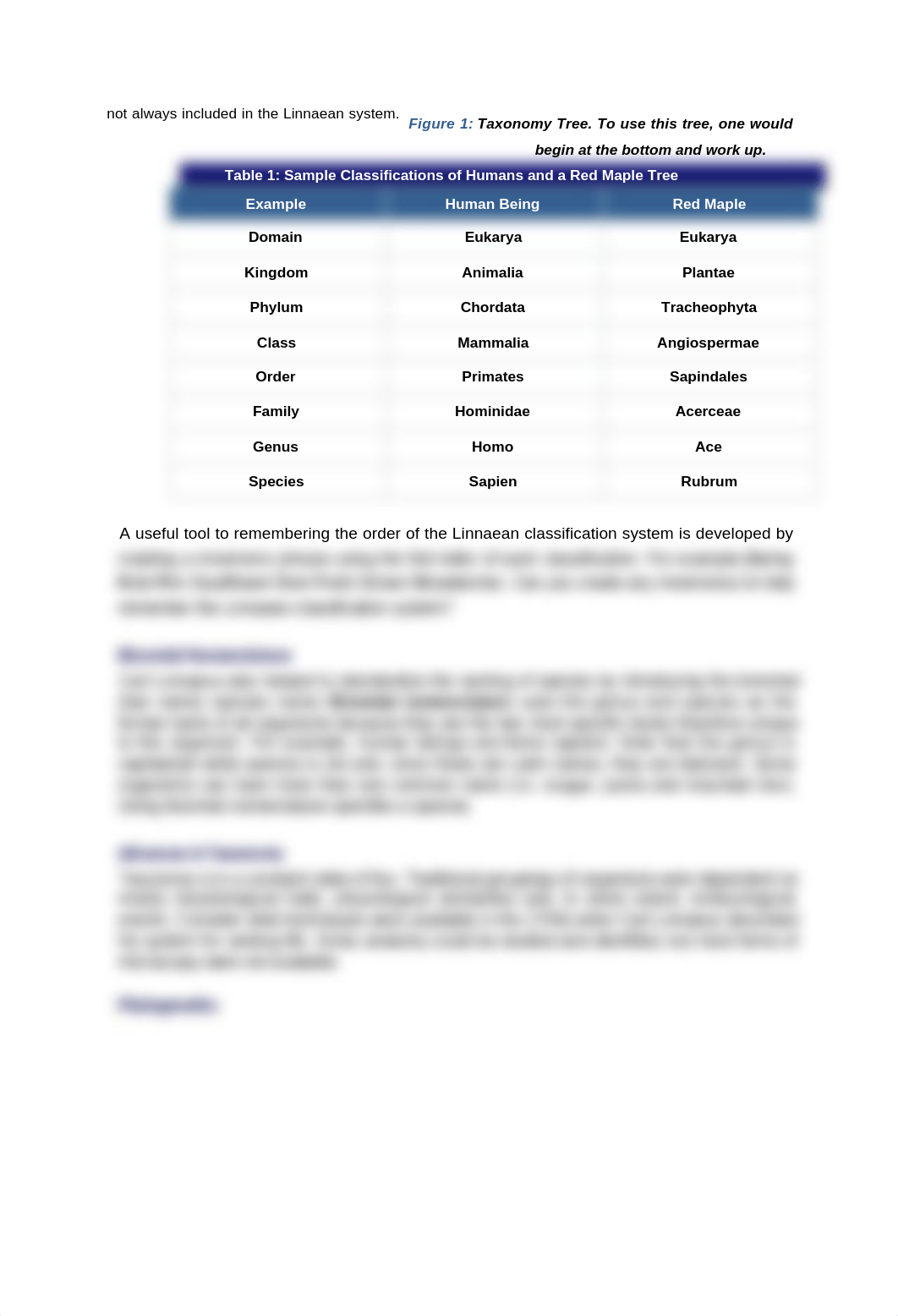 lab16.docx_d9607p4mkwv_page2