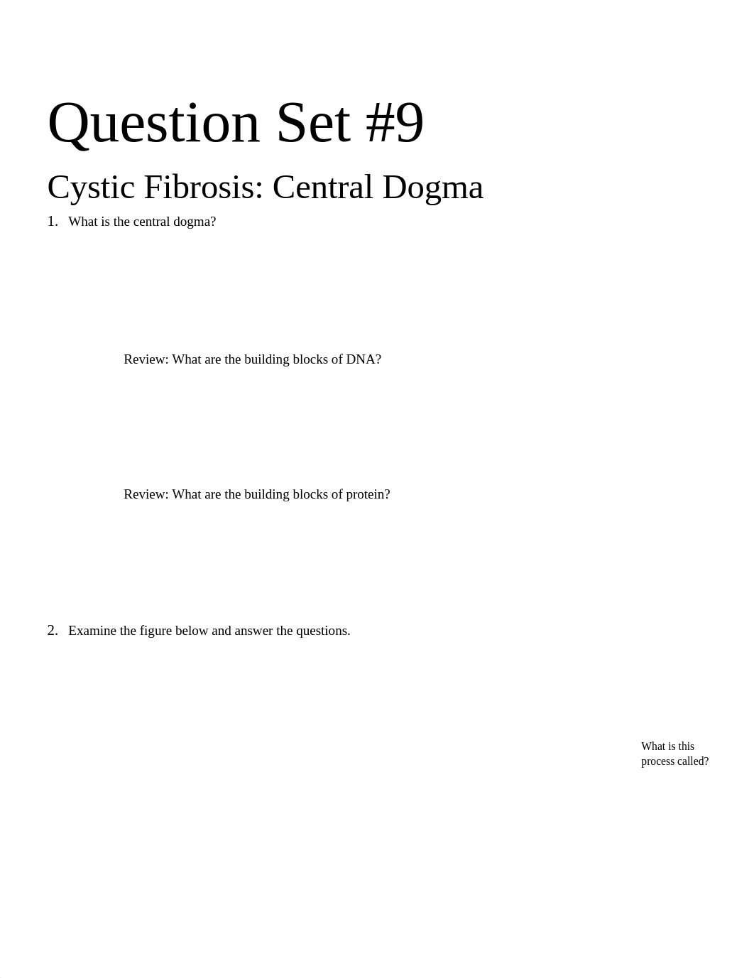 Question Set 9.docx_d968nwwbmug_page1