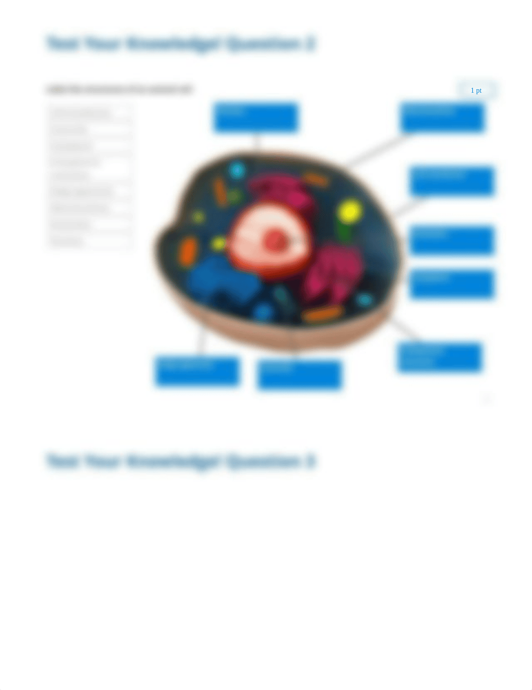 Cells - Prokaryotic and Eukaryotic - Exploration report_d96civ6gbdq_page2