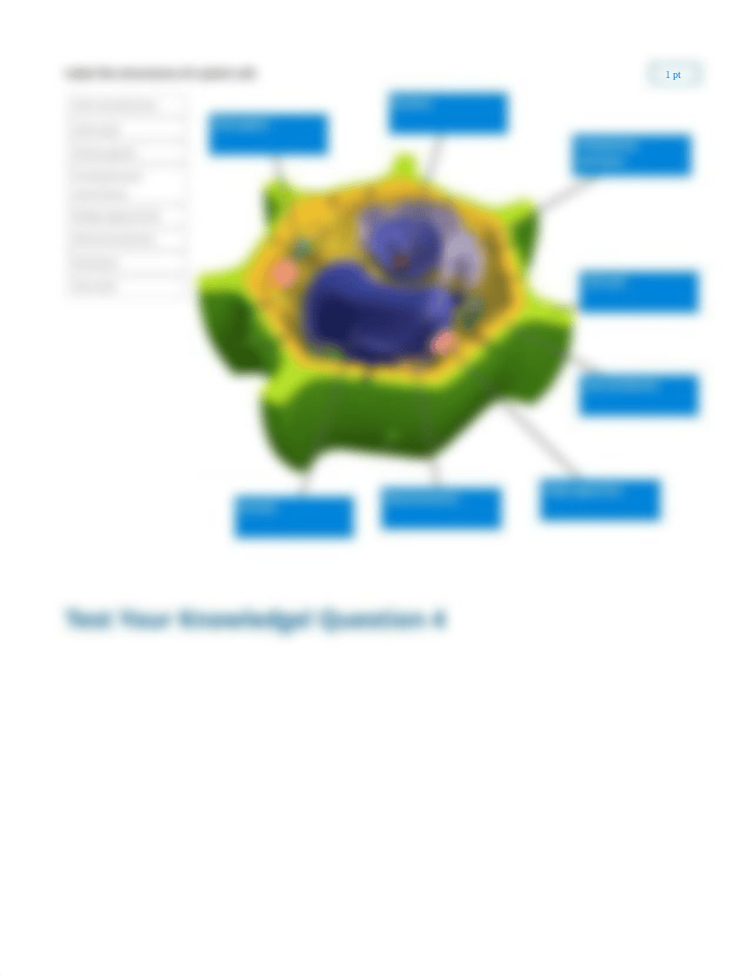 Cells - Prokaryotic and Eukaryotic - Exploration report_d96civ6gbdq_page3