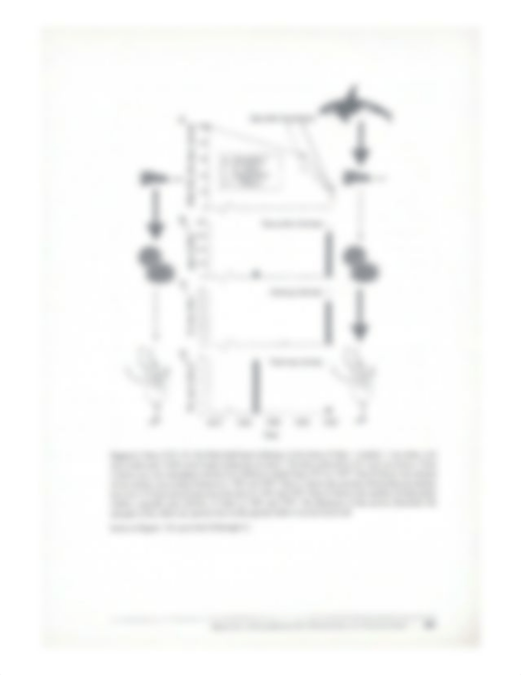 Trophic cascades pre-lab.pdf_d96coeg9gi0_page3