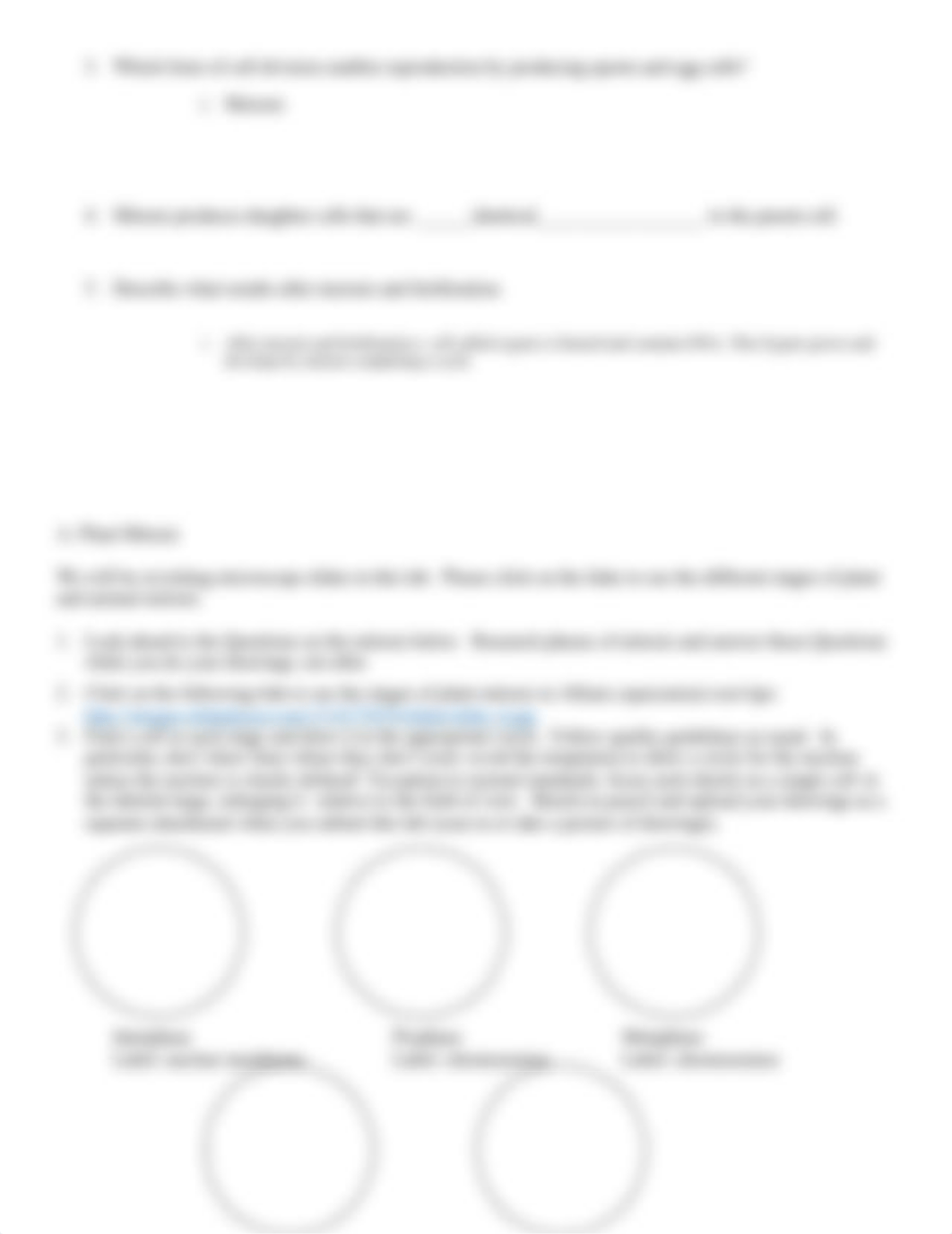 Mitosis and Meiosis Lab finished.docx_d96d3ih9bp0_page2