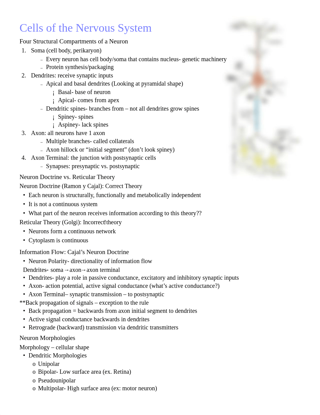 cell neuro exam 1.pdf_d96iga81835_page1