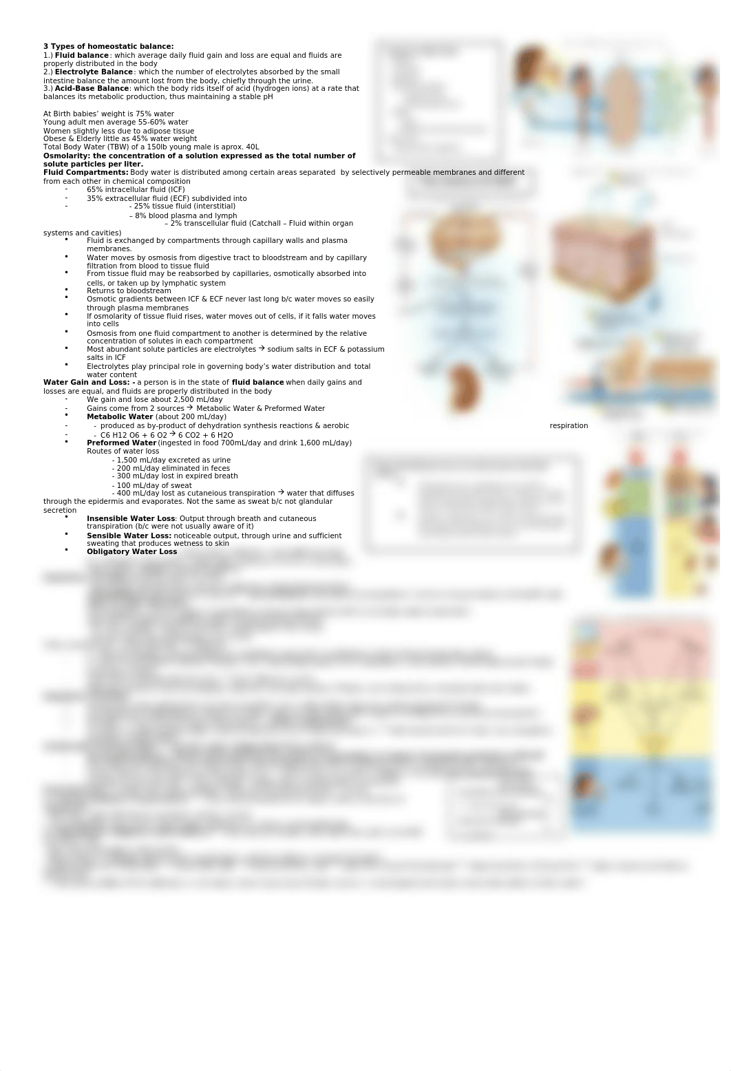 Advanced Quiz 4 Fluid, Electrolyte, and Acid-Base Balance.docx_d96mfn6602p_page1