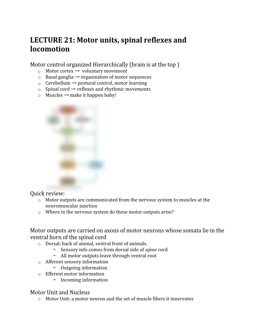 Unit 4 _ Motor control.pdf_d96s51om5vb_page1