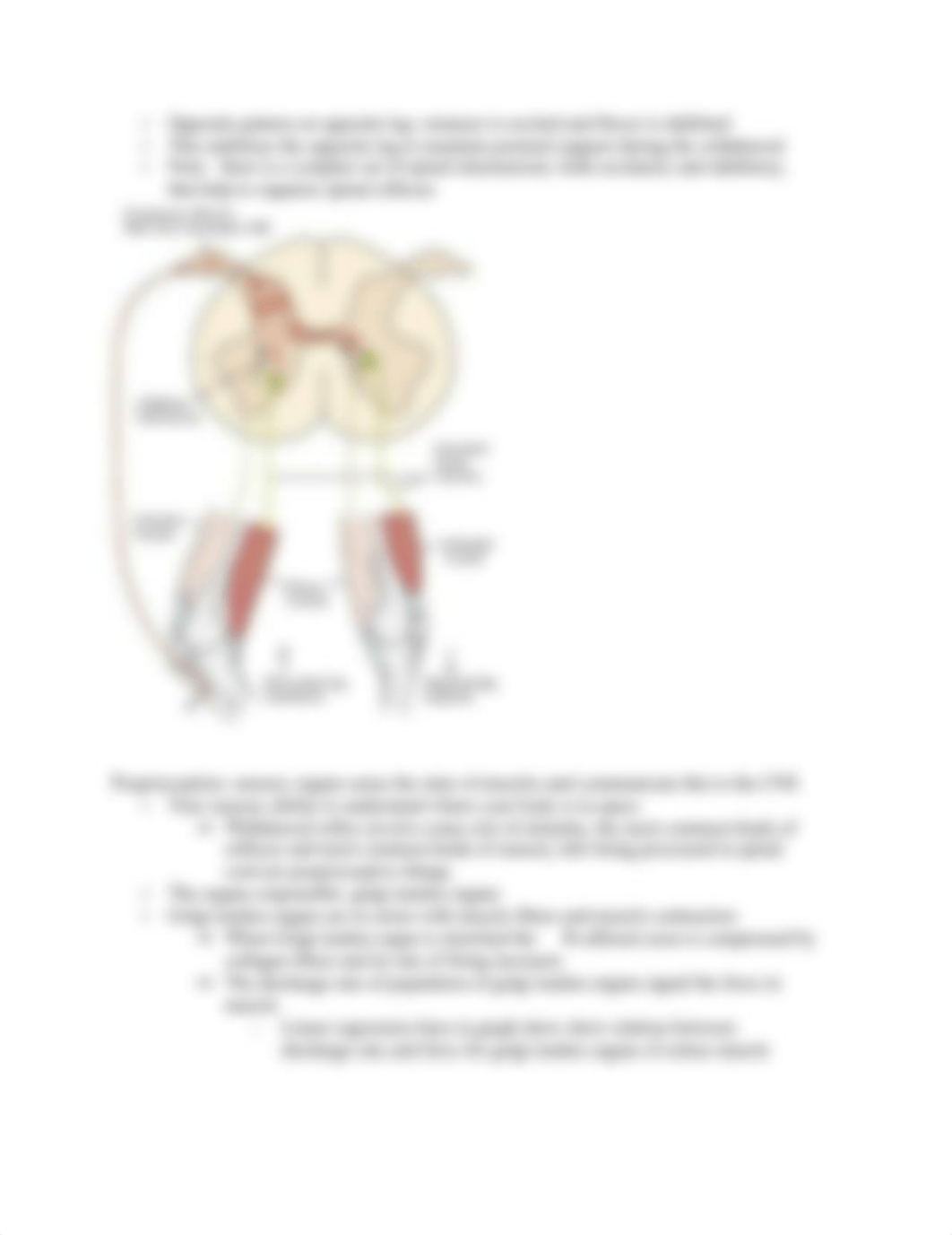 Unit 4 _ Motor control.pdf_d96s51om5vb_page4