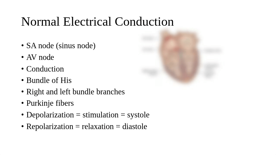 Chapter 22 with EKG (1).pdf_d96y21nlbmp_page4