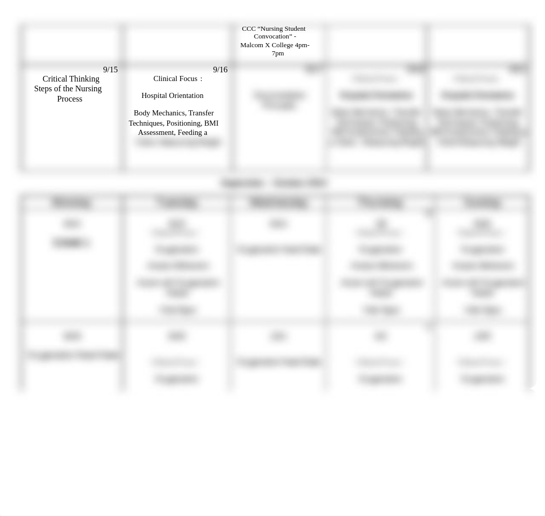 Nursing 101 2014  COURSE CALENDAR - Sunday Clinical Group - Final 8-21_d96yhe4wix4_page2