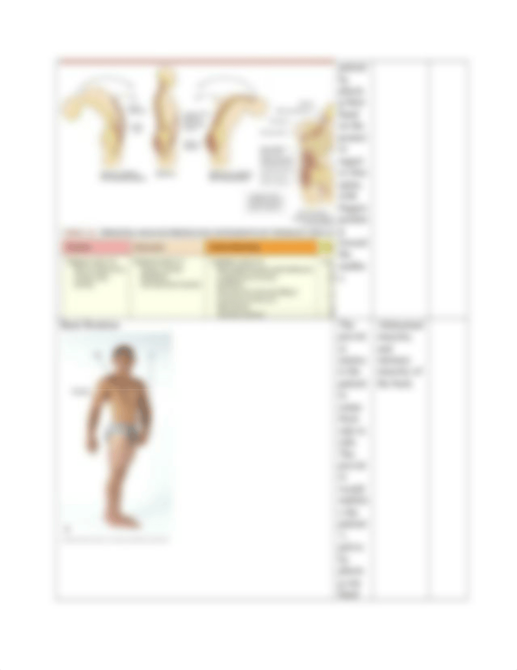 neck and spine range of motion table with pictures.docx_d970x1zsedp_page3