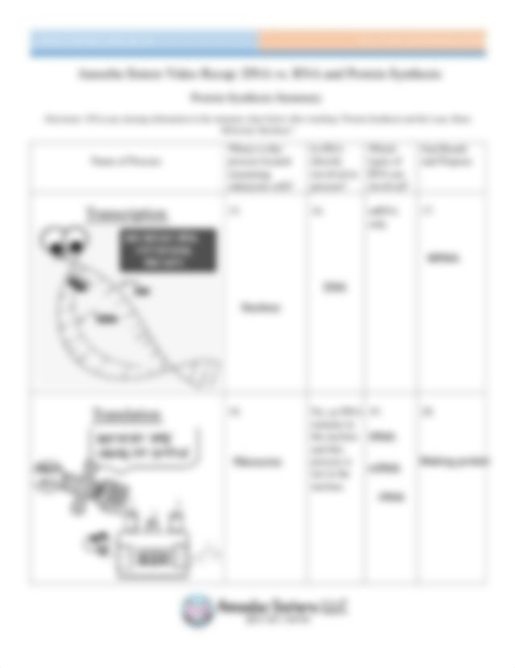 video_recap_of_dna_vs._rna_and_protein_synthesis_by_amoeba_sisters_2.pdf_d9718nutjm7_page2