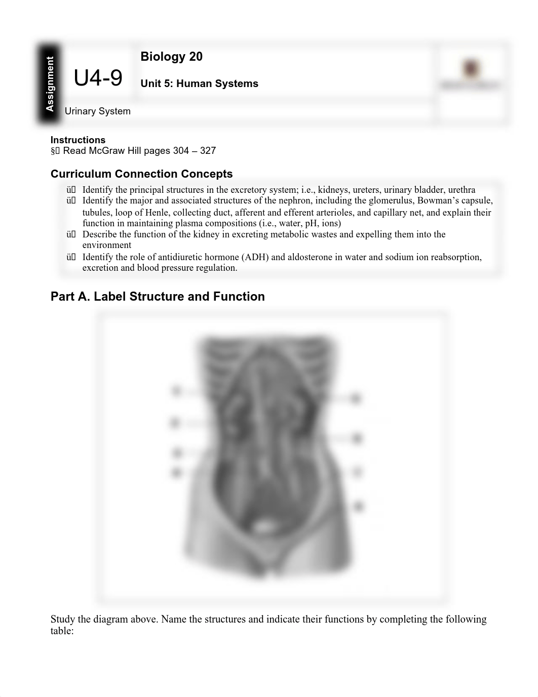 U4-9 Urinary System2012Key.pdf_d972y3n2sow_page1