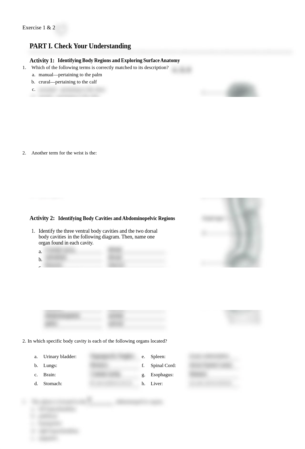 Unit 1 laboratory exercise 1 and 2.pdf_d976czh86du_page1