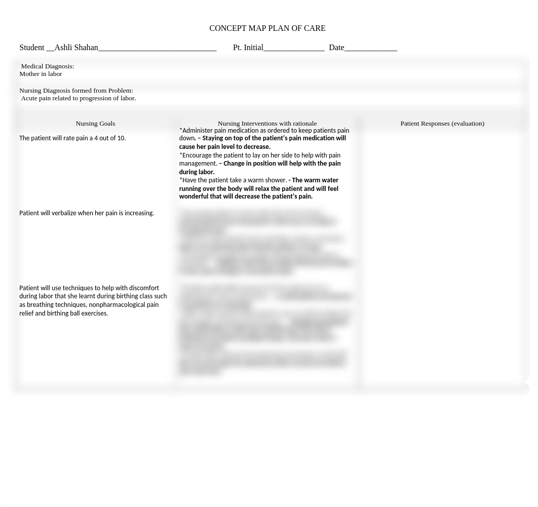 Care Plan #1 Labor.docx_d97ege5fpg0_page1