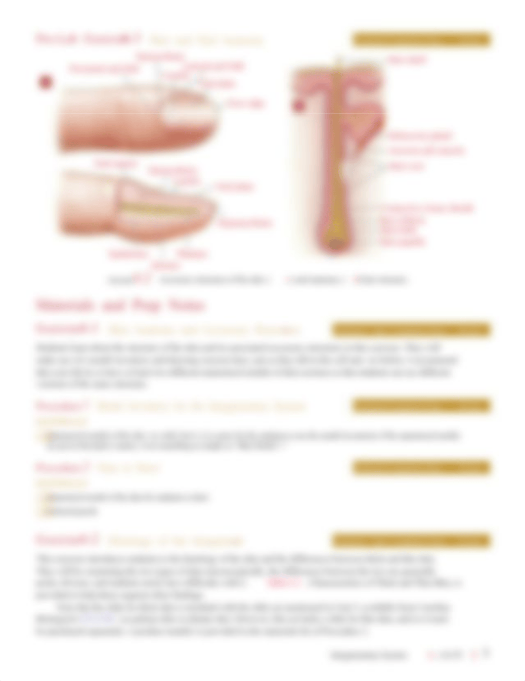 unit_6_integumentary_system.pdf_d97hwh8tuyk_page3