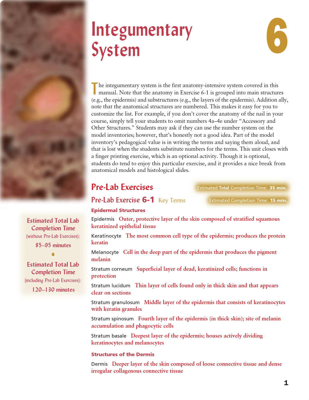 unit_6_integumentary_system.pdf_d97hwh8tuyk_page1