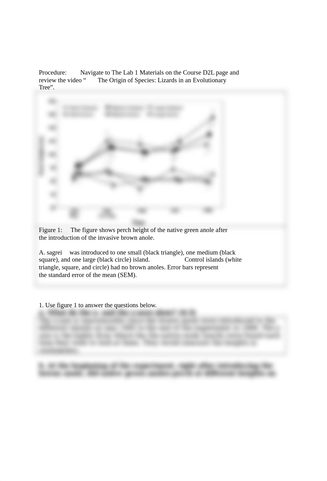 Lab 4.docx_d97p6axxqs9_page2