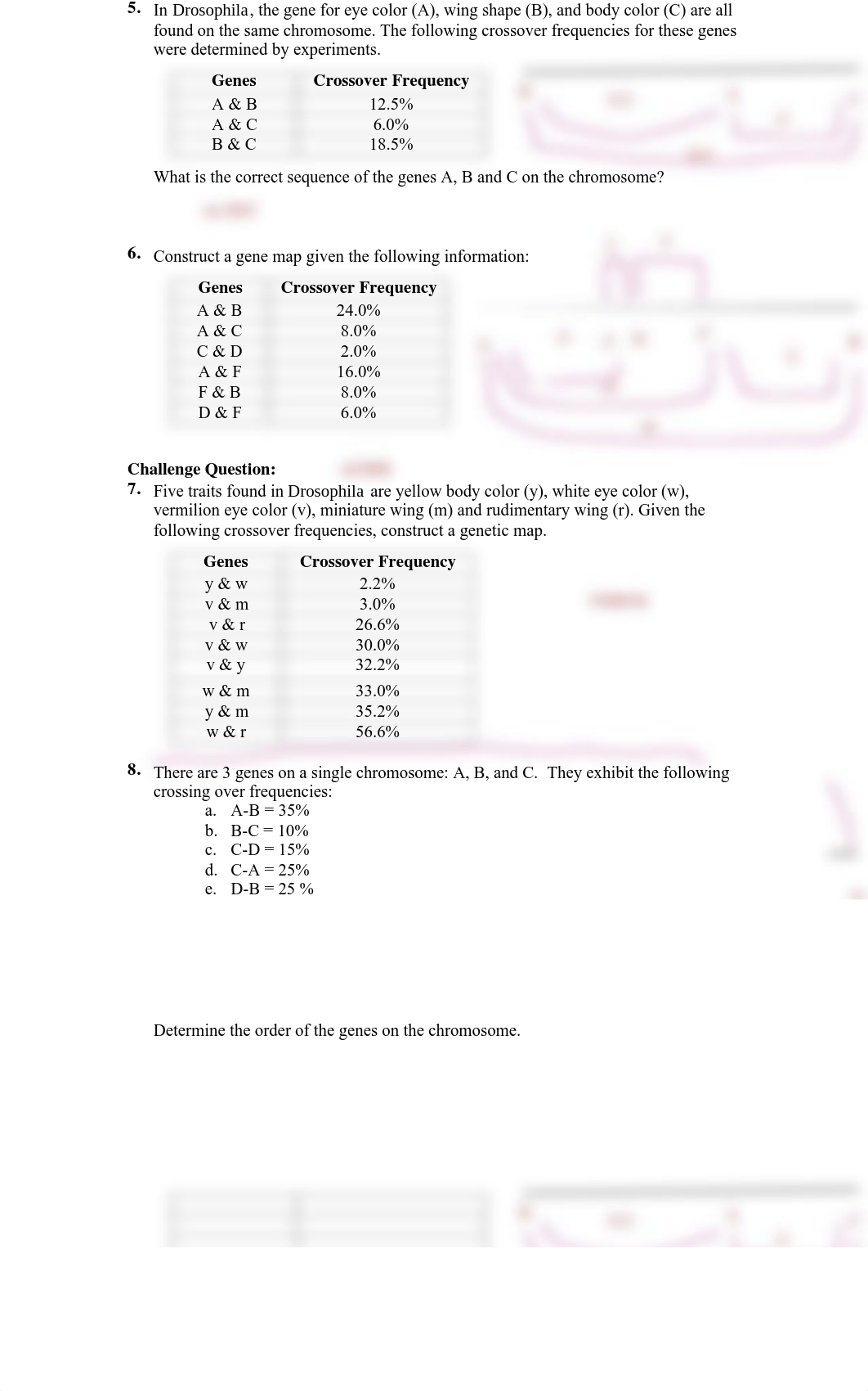 Adelynn_Schlegel_-_gene_mapping_worksheet.pdf_d97qp9dgu69_page2