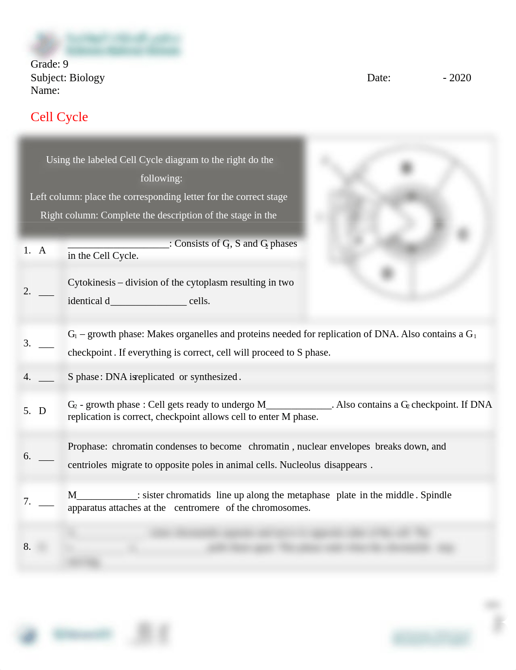 Cell_Cycle_worksheet.docx_d97wu0qs656_page1