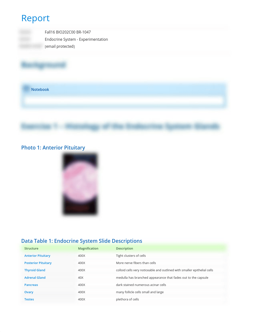 Endocrine System - Experimentation report_d97x16f8934_page1